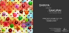 Shinya Sakurai - Love Pool